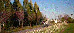Jersey City apartment for rent - a group of people walking down a path in a park